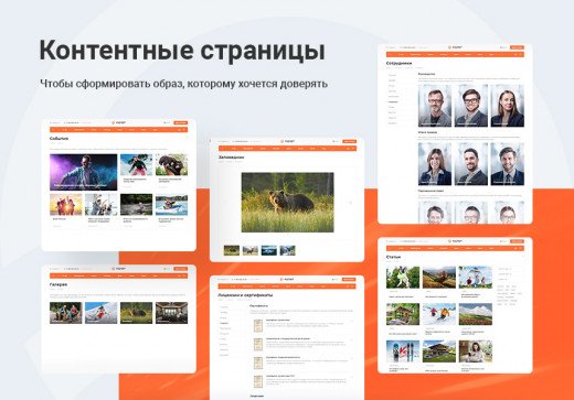 Контентные страницы